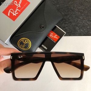 Ray-Ban Sunglasses 732